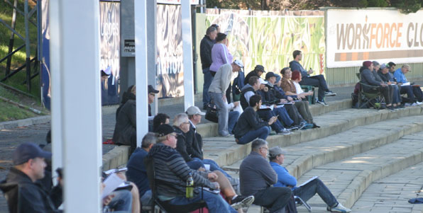 Some believe the real action at an AFL Under-18 Championship game takes place on the sidelines. Photo by Les Everett
