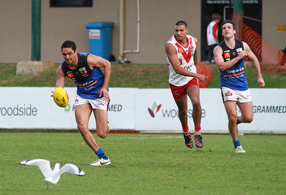 Jarrad Oakley-Nicholls has only a seagull to beat as he storms away at Fremantle Oval.
