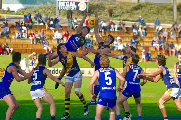 Third man up: East Perth's Tom Barrass rises above ruckmen Mark Seaby (C) & Paul Johnson at a boundary throw-in at Leederville (EP). The spillage resulted in a goal to Claremont's second ruckman Mitch Andrews (24).