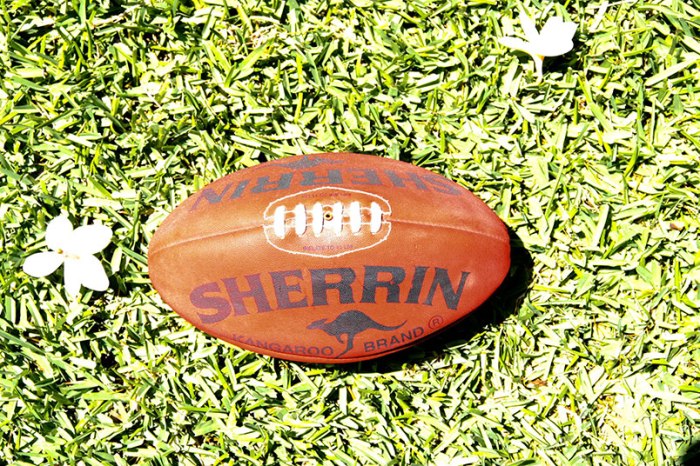 Sherrin1.jpg