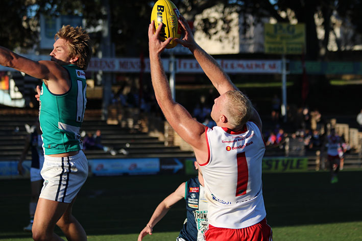 SchloitheMarkingsmall