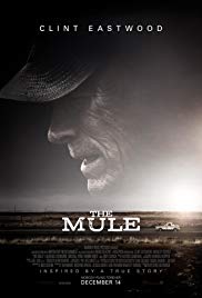 Mule